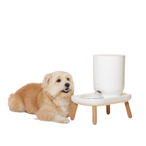 duit the table